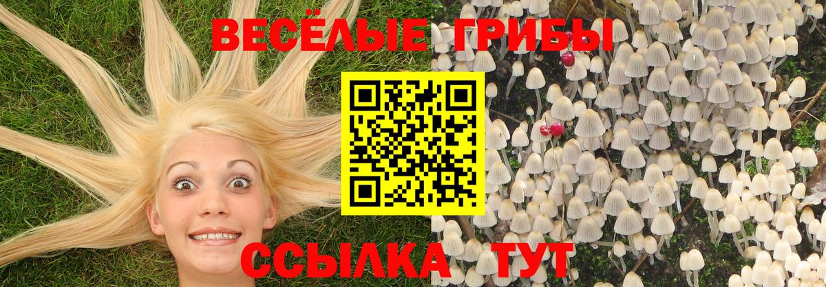 Псилоцибиновые грибы ЛСД Горячий Ключ